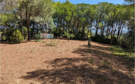 Terreno con annesso Loc. Asca