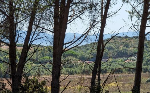 Terreno con annesso Loc. Asca