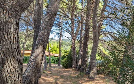 Terreno con annesso Loc. Asca