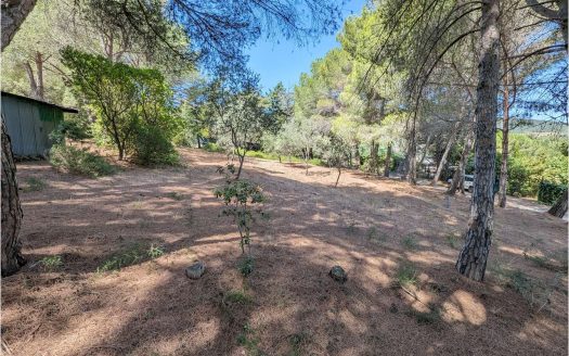 Terreno con annesso Loc. Asca