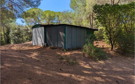 Terreno con annesso Loc. Asca