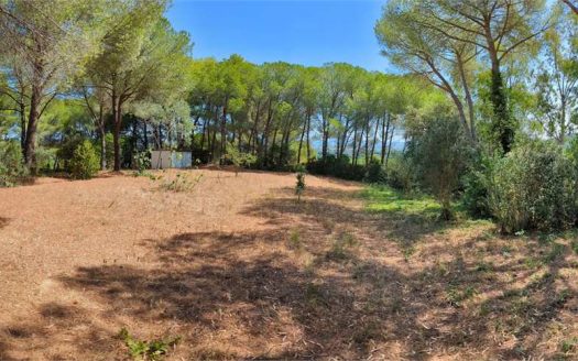 Terreno con annesso Loc. Asca