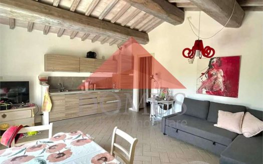 Luminoso e ampio bilocale finemente ritrutturato con ampio giardino privato in Località Paduletto