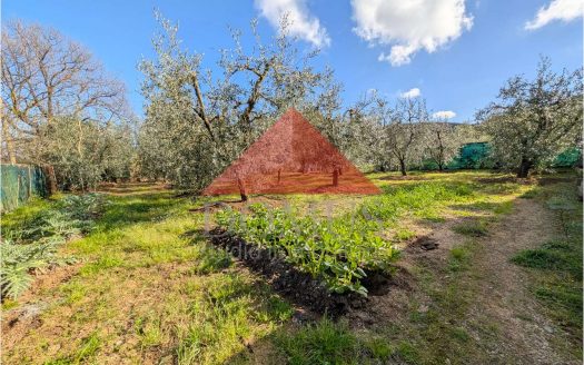 Terreno con annesso in Località Fabbricciane