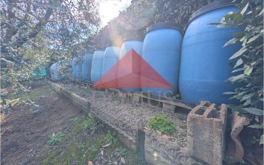 Terreno con annesso in Località Fabbricciane