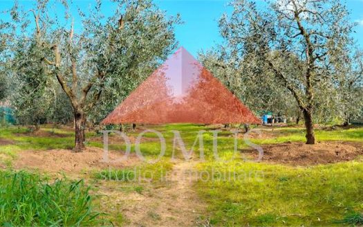 Terreno con annesso in Località Fabbricciane