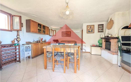 Terreno con annesso in Località Fabbricciane