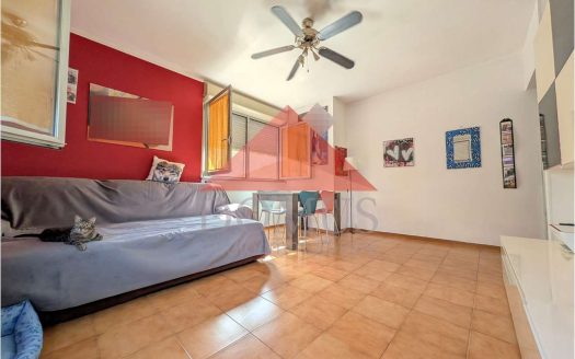 Ampio appartamento in zona Ghiaccioni